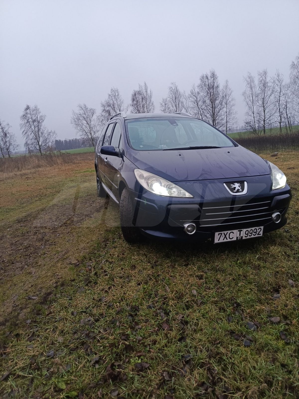Peugeot 307 I Рестайлинг, 2008