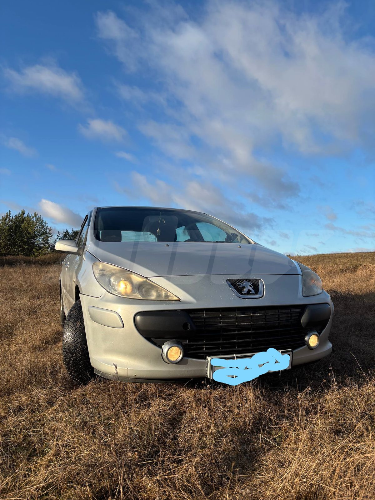 Peugeot 307 I Рестайлинг, 2007