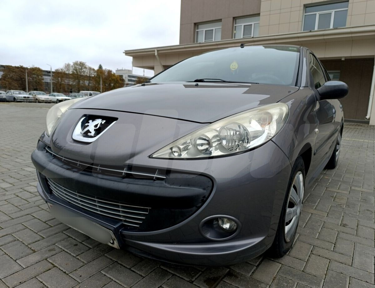 Peugeot 206 I, 2009