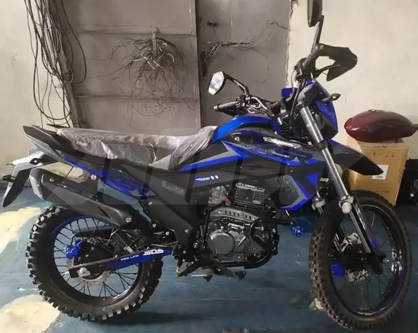 Racer XSR, 2025