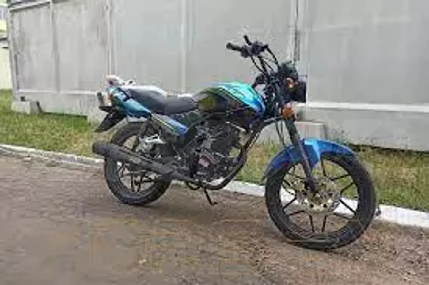 Racer Tiger,