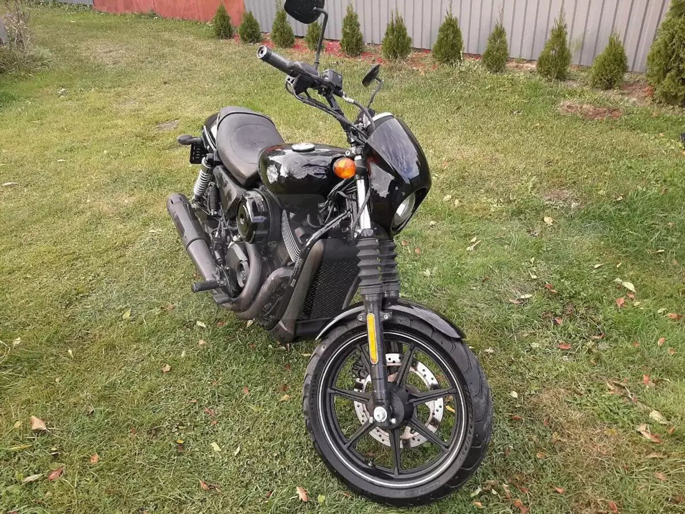 Harley-Davidson Street 750, 2014