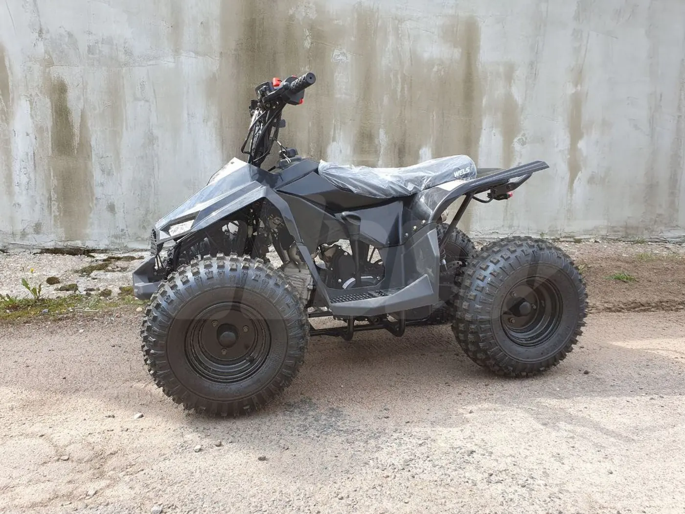 спортивный Wels Thunder, 2024