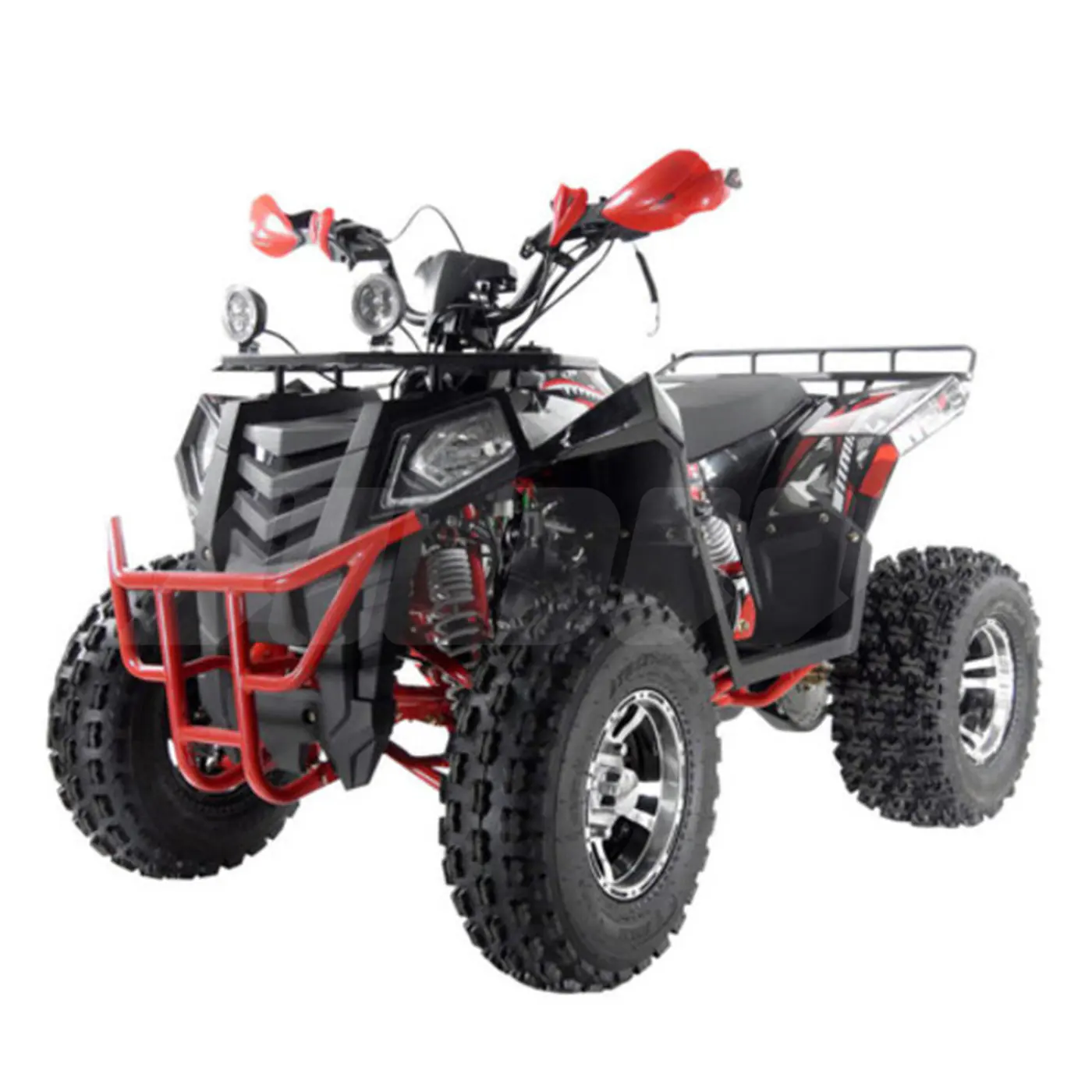 2024 Wels EVO,