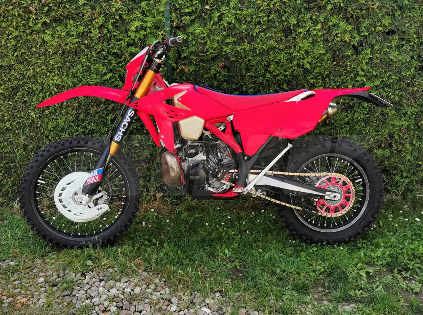 Beta RR,