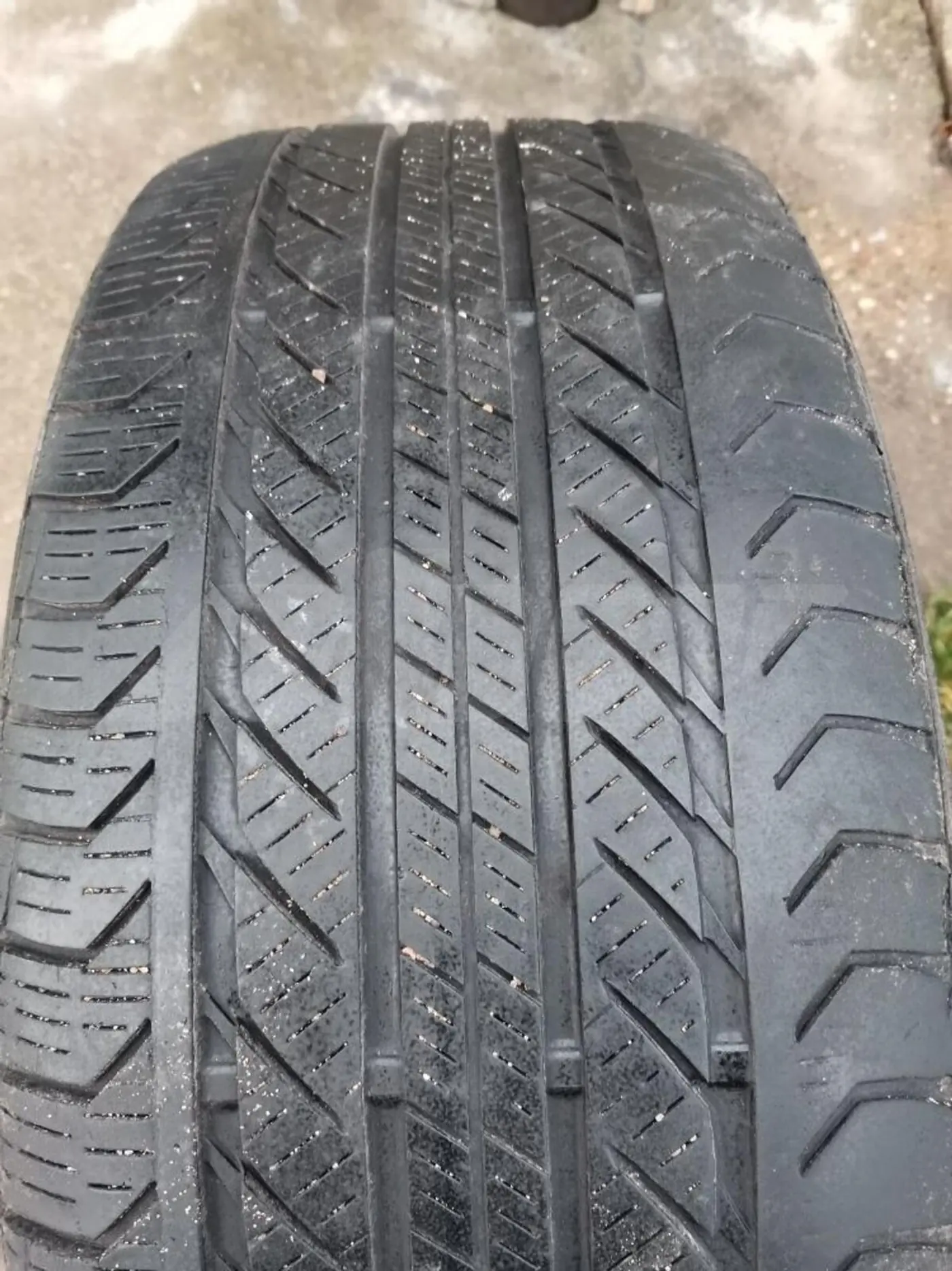 R19 245 40 Continental