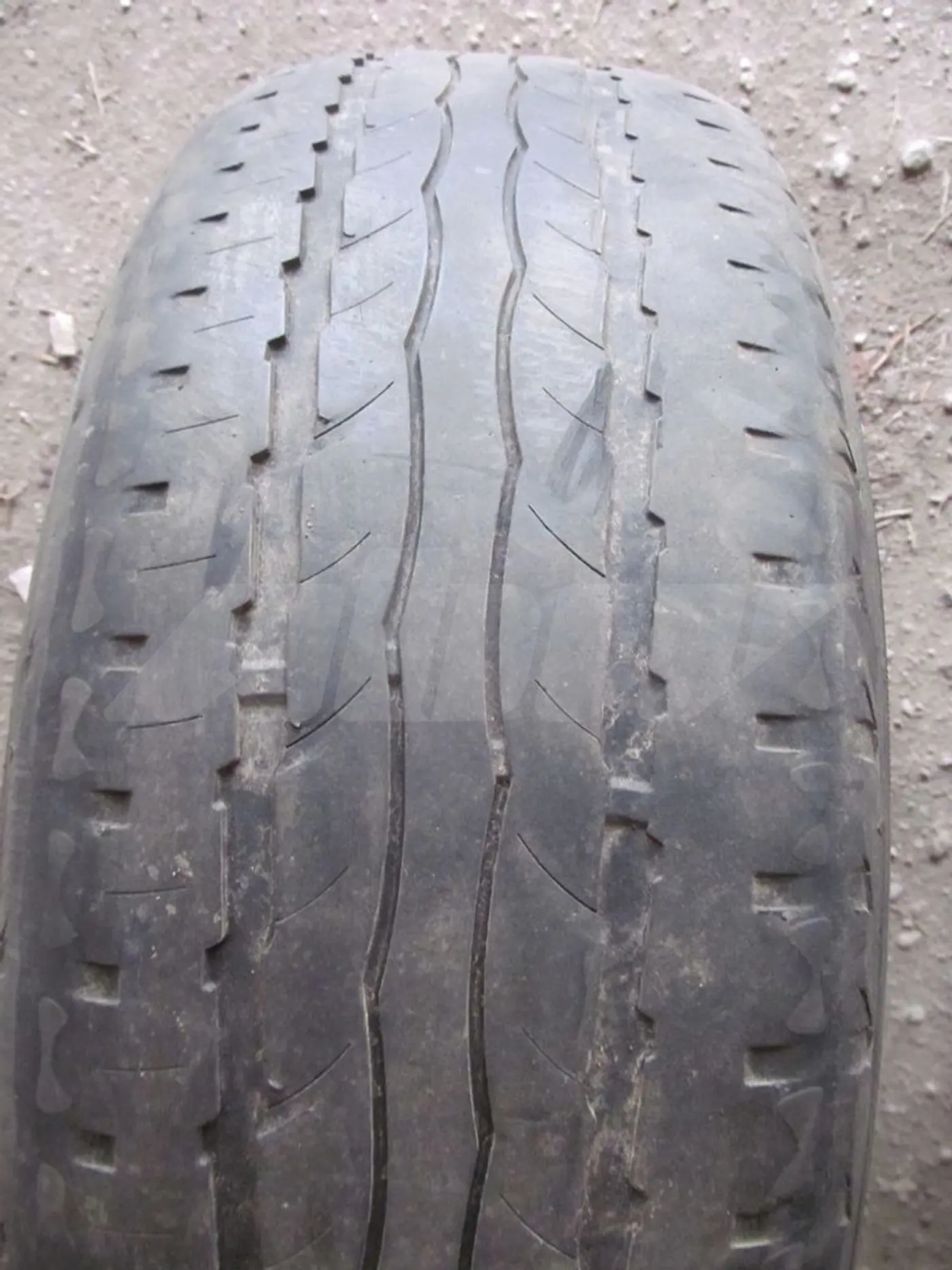 R15 195 65 Sava Integra