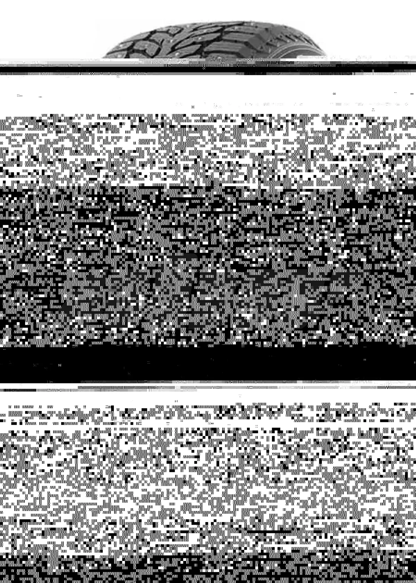 R16 215 55 Kumho WinterCraft ice WI32