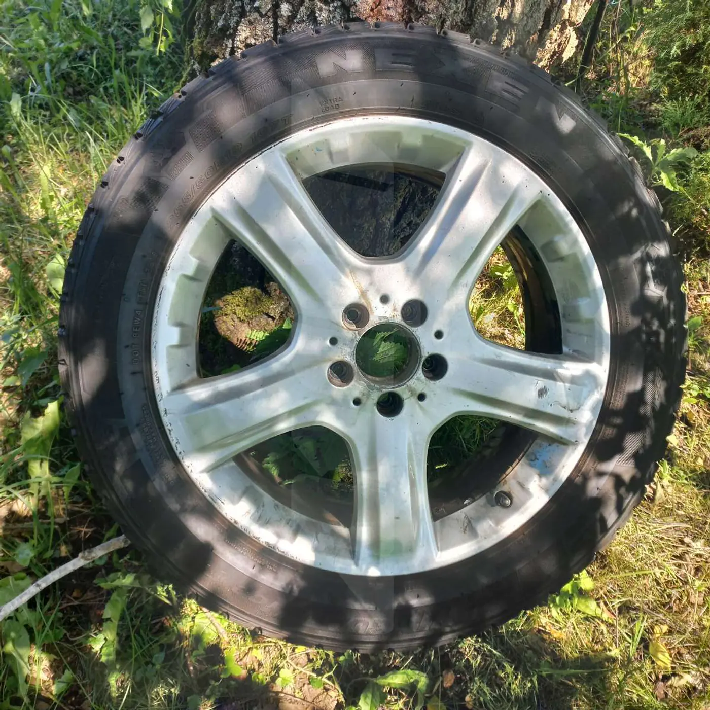 R19 255 55 Nexen winguard