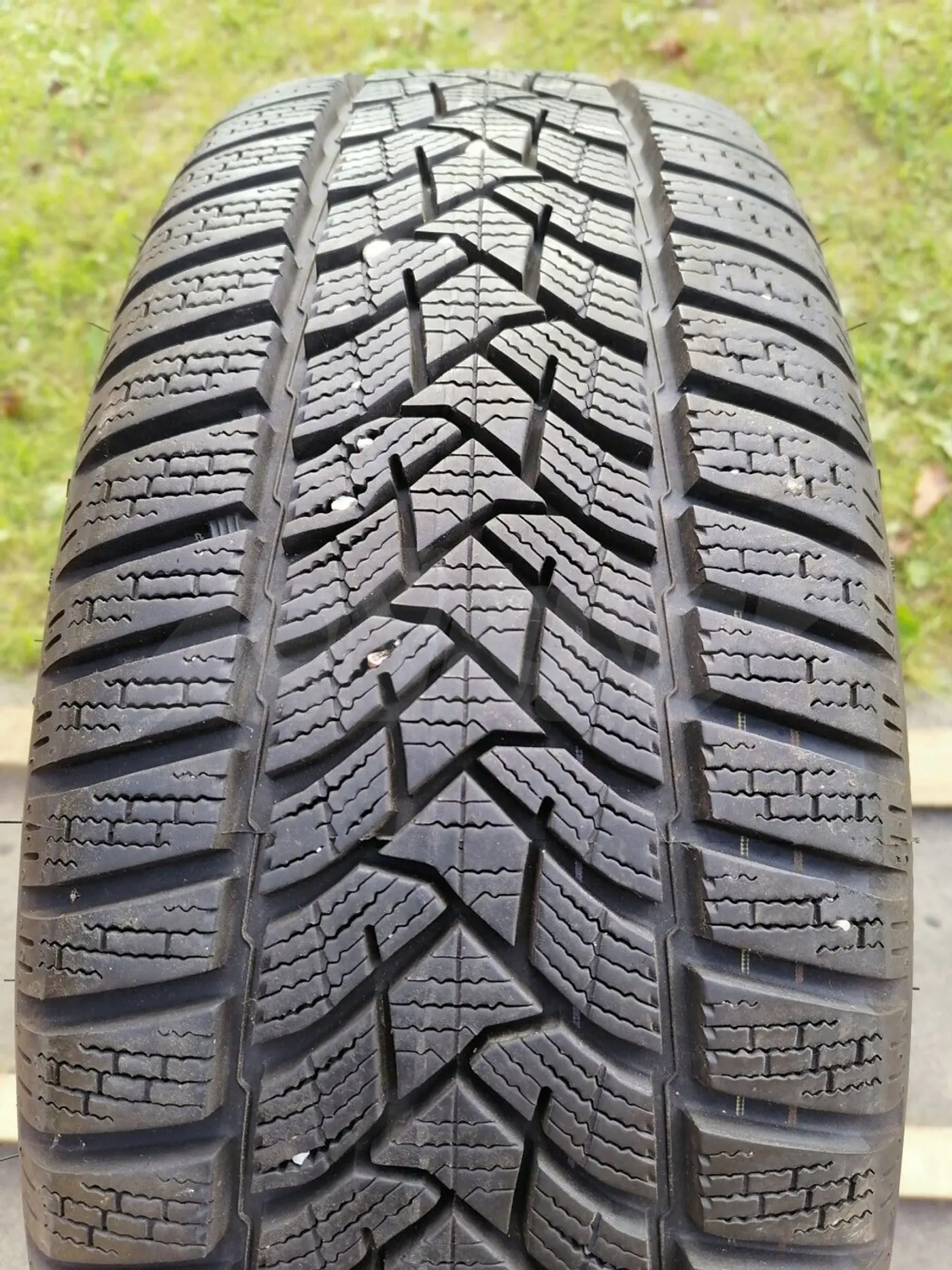 R16 205 55 Dunlop 5