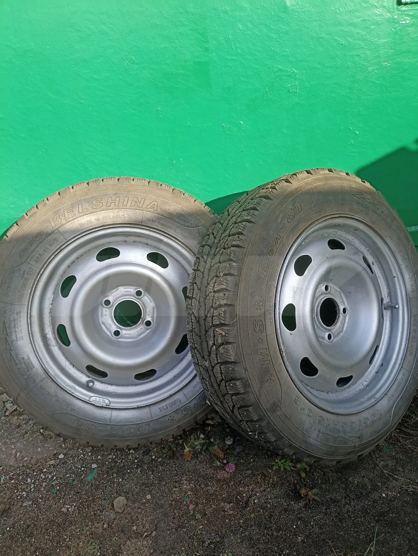 R15 195 65 Белшина Бел81