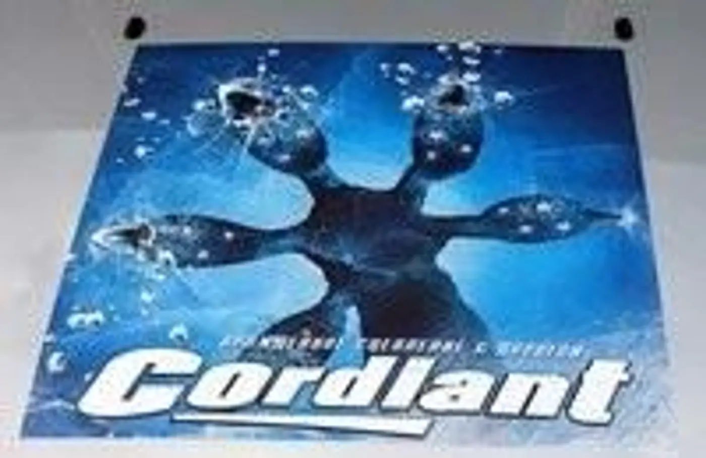 ММАС-2012: Cordiant удивит асимметричными шинами