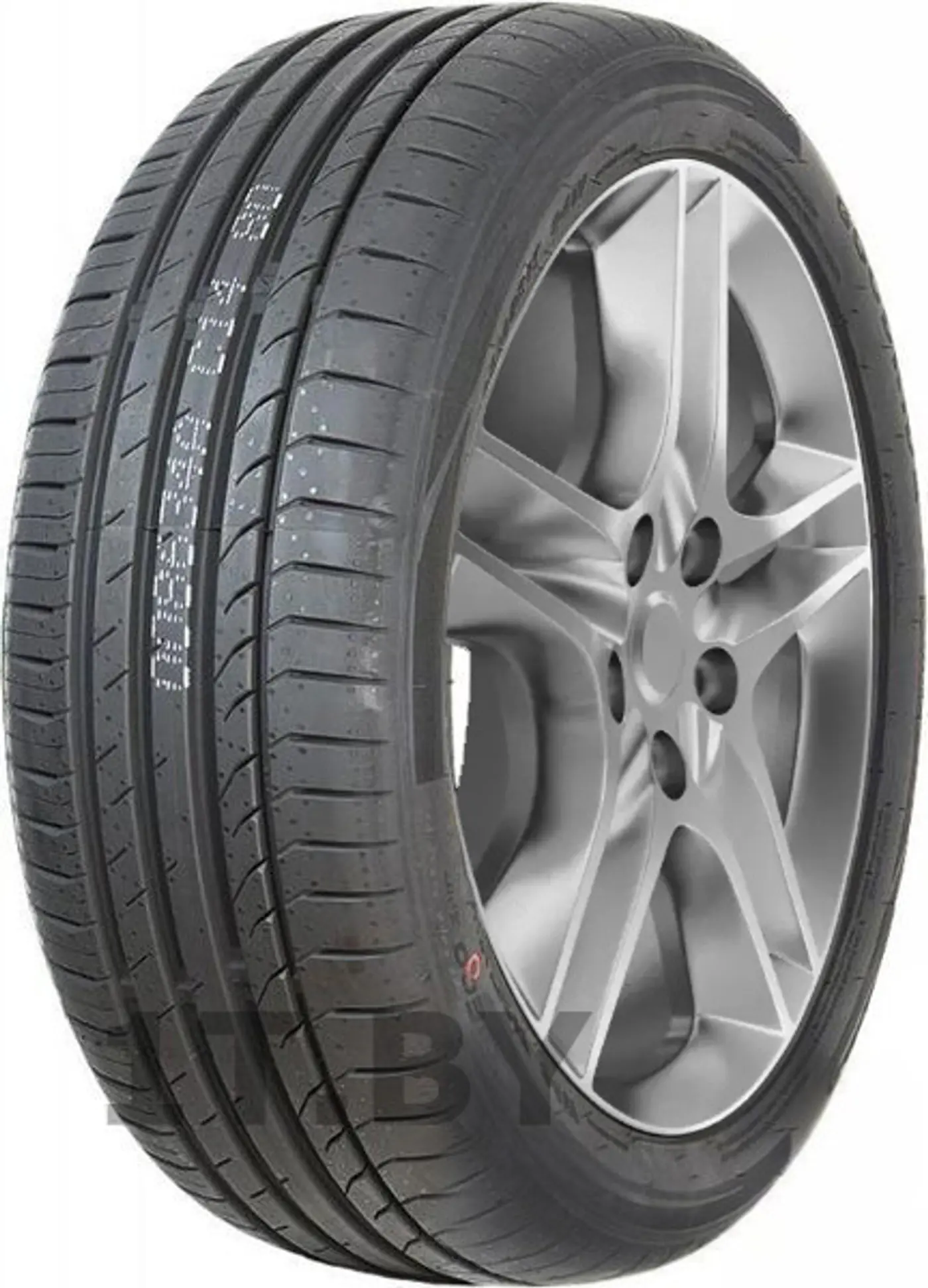 R17 225 45 Goodride Z-107