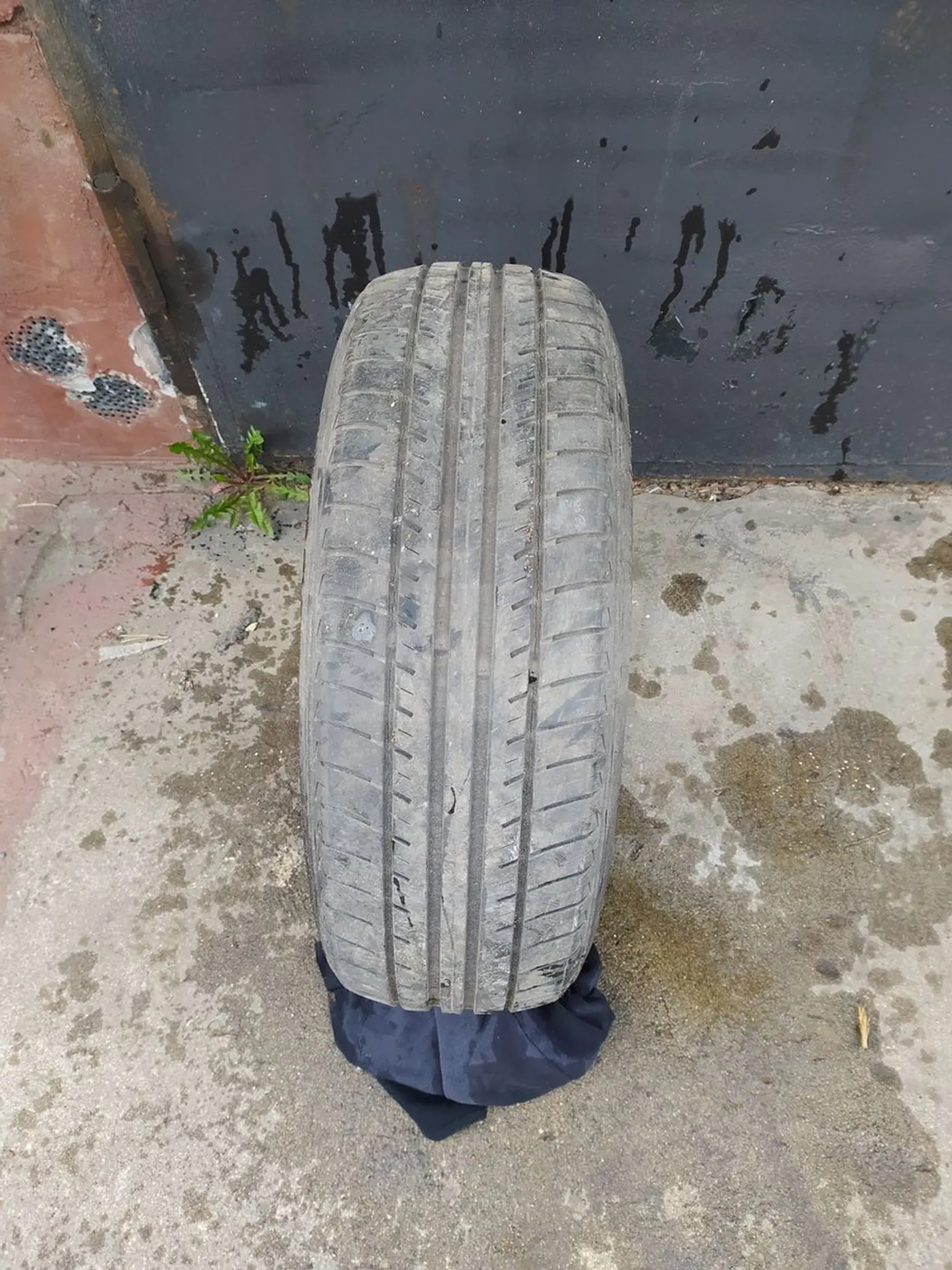 R15 195 65 Nexen Classe Premiere CP641