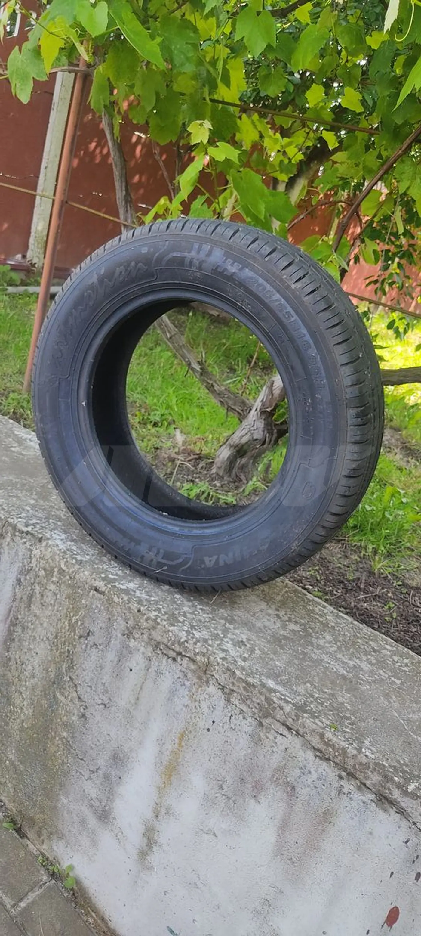 R16 205 65 Белшина бел-270