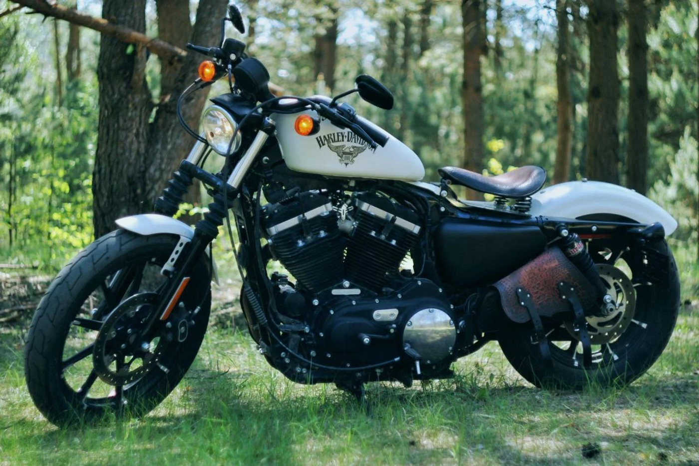 Harley-Davidson Sportster 883, 2018
