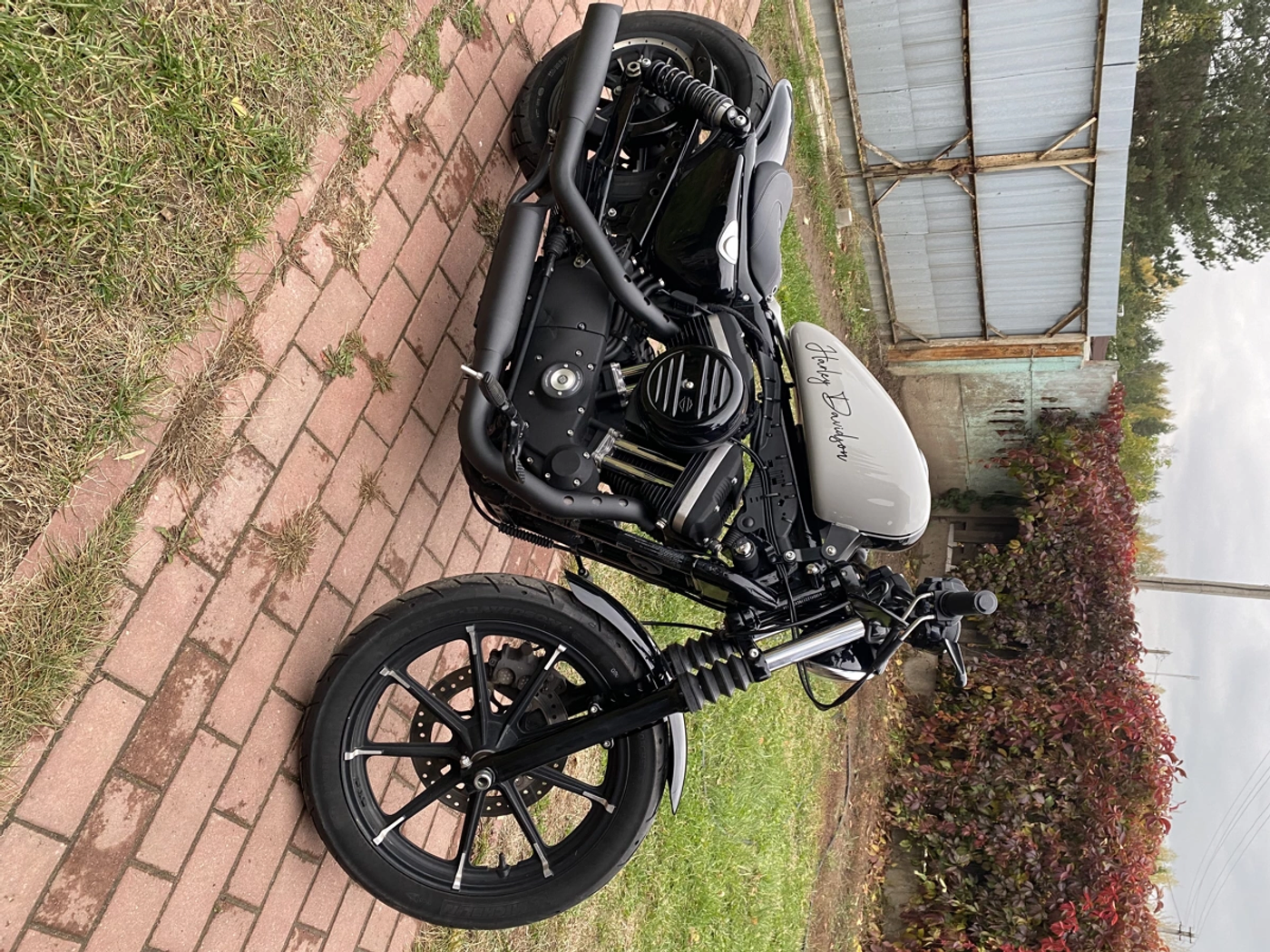 Harley-Davidson Sportster 883, 2019
