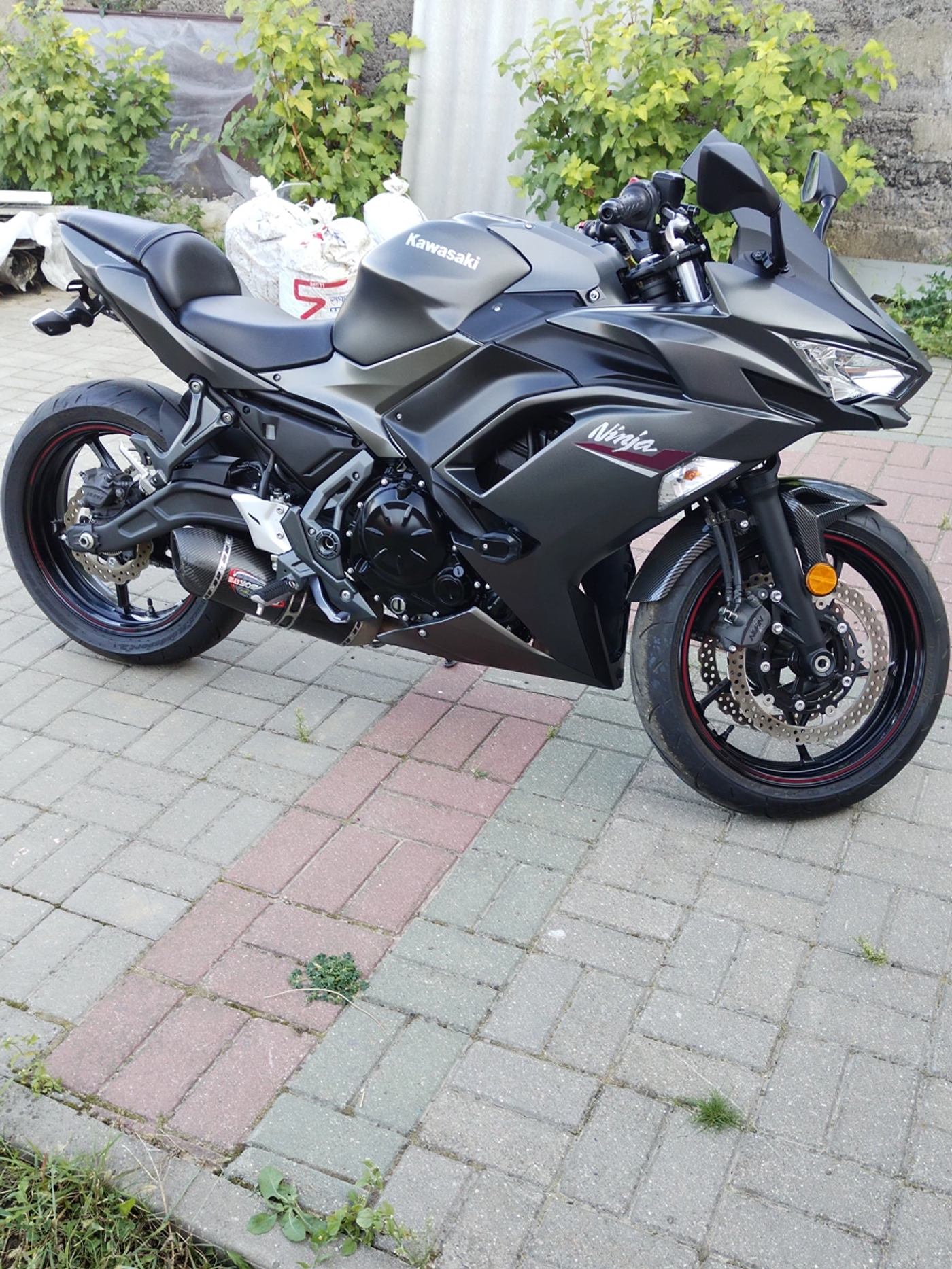 Kawasaki Ninja 650, 2021