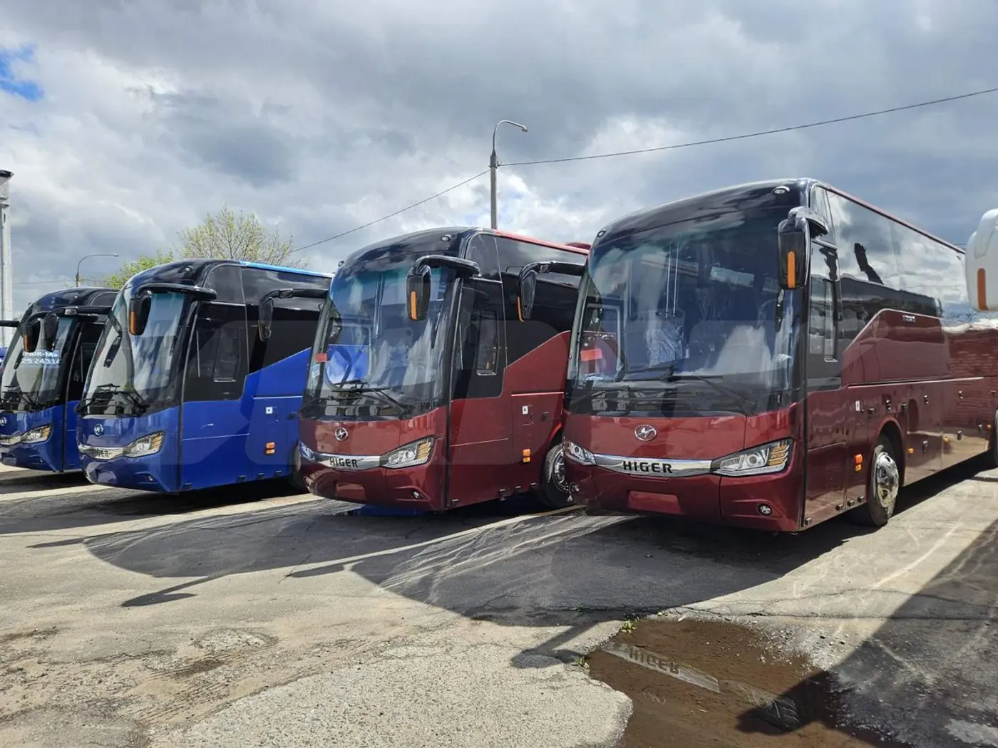 Higer KLQ 6128 2024