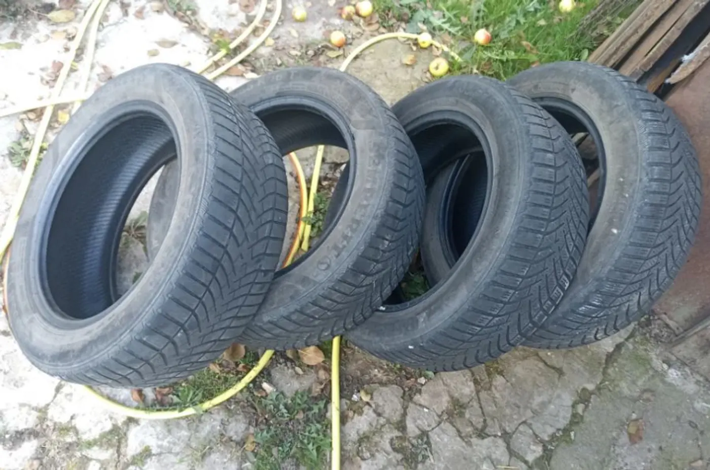 R16 205 55 Semperit