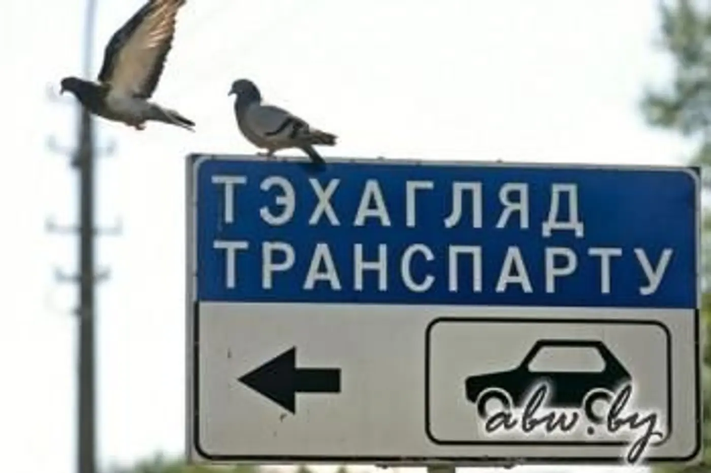 Техосмотр и пошлина