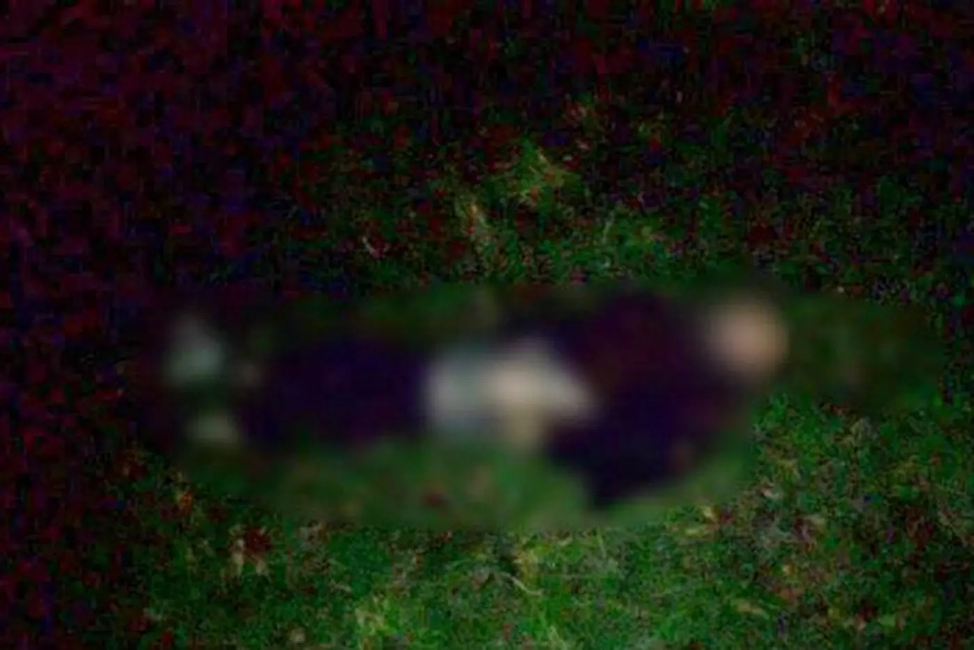 В Малоритском районе под колесами авто погиб пешеход, который шел посередине дороги