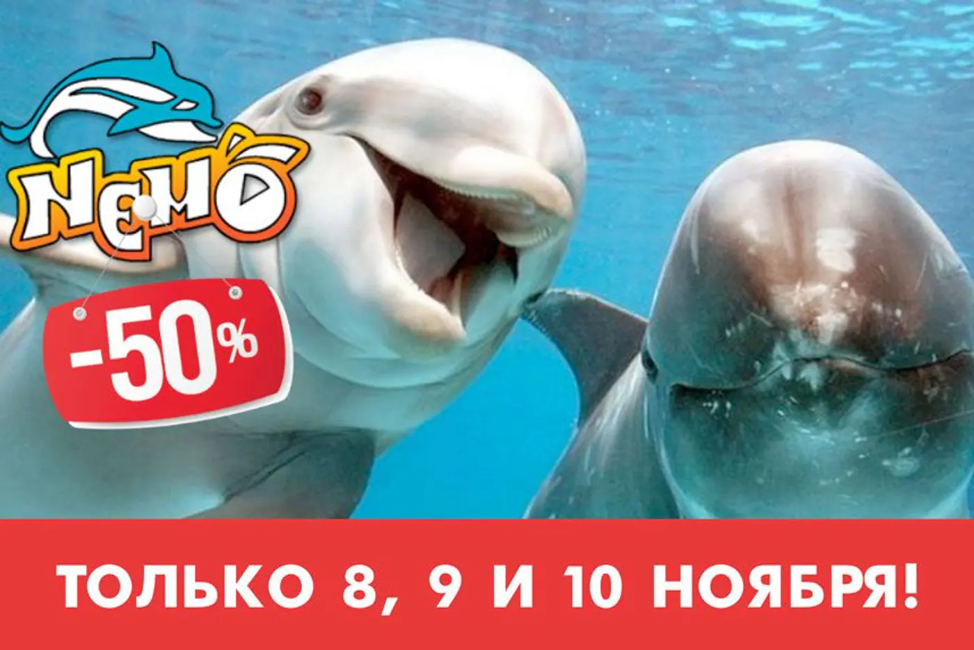 Дельфинарий "Немо"  минус 50%: идем с детьми, друзьями и любимыми всего за 11,50 рубля!