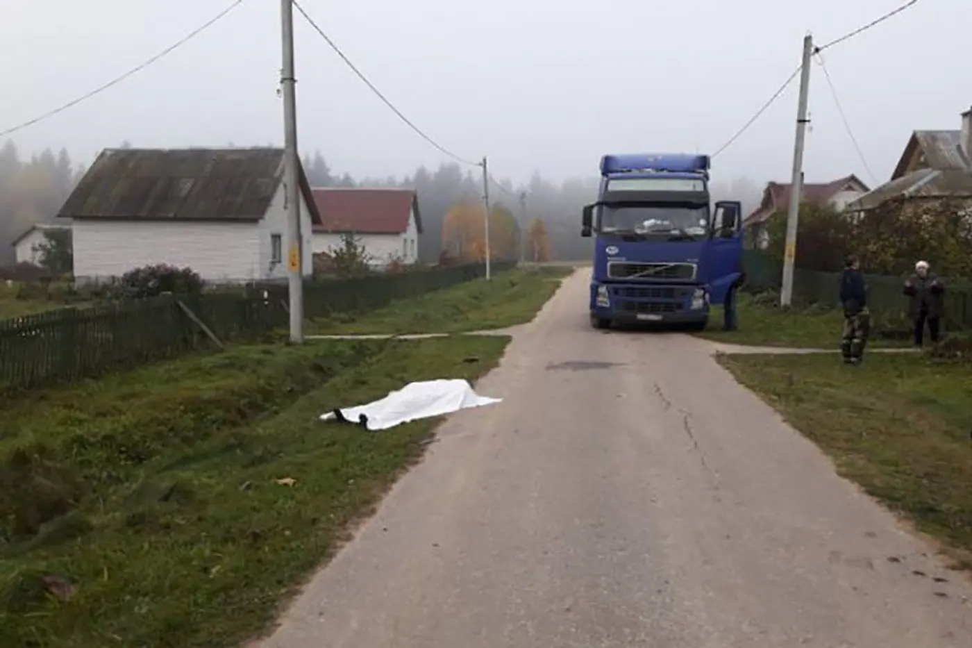 Водитель, насмерть сбивший женщину в Полоцком районе, заключен под стражу