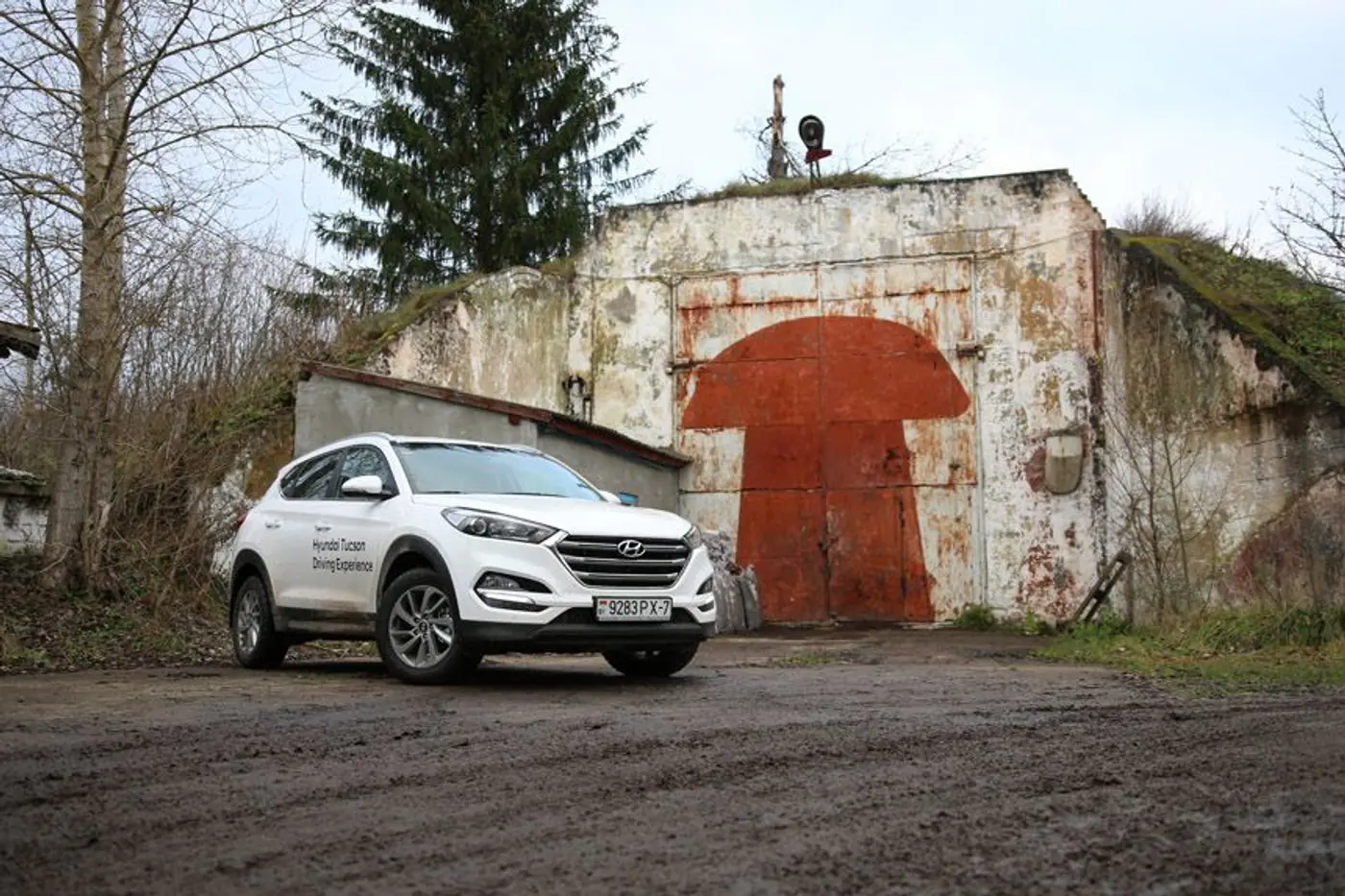 Это были не опята. Hyundai Tucson и загадочные бункеры под Лидой