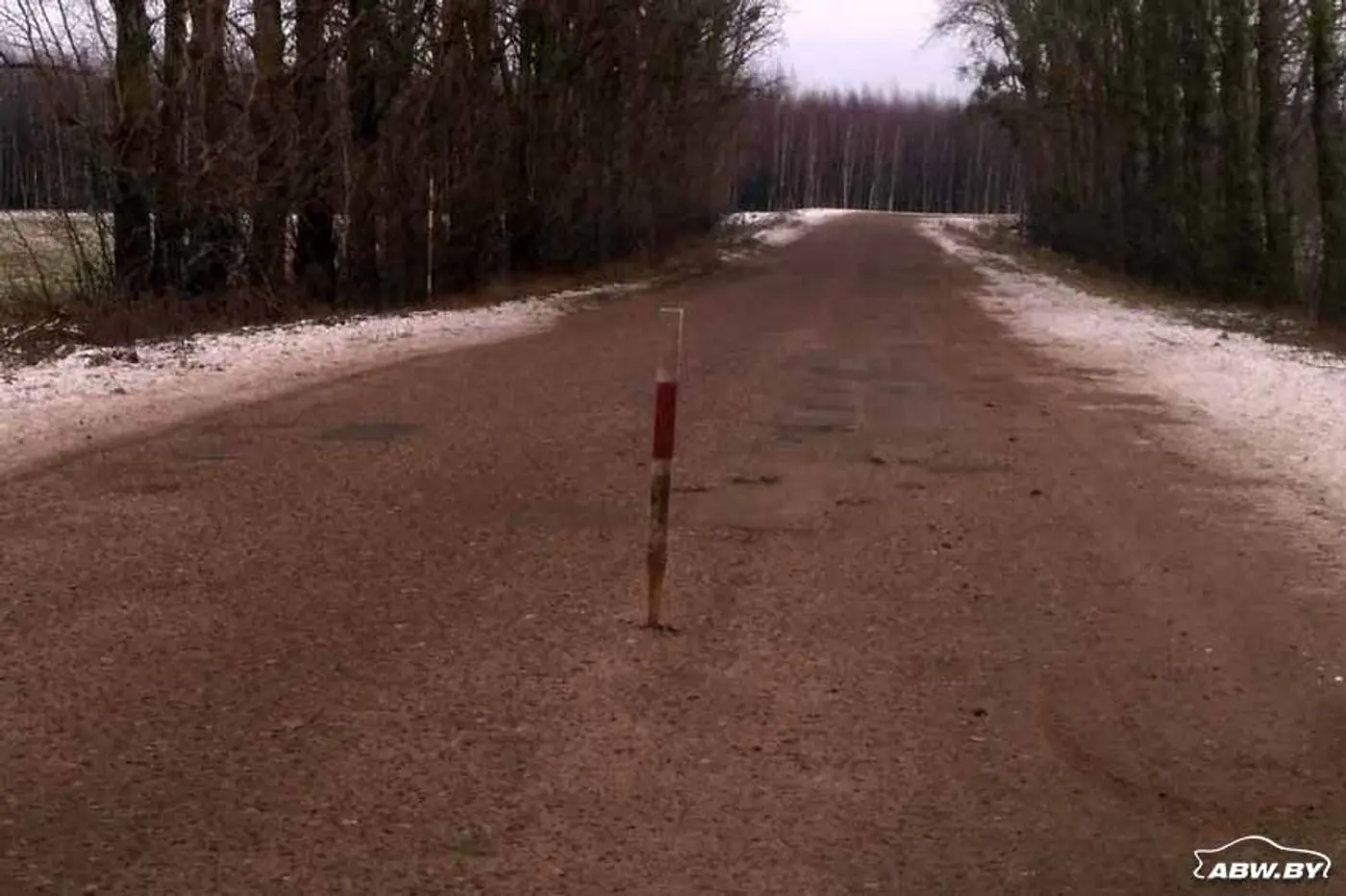 Фотофакт. Под Скиделем в асфальт вбили деревянные колья. Кому и для чего это понадобилось?