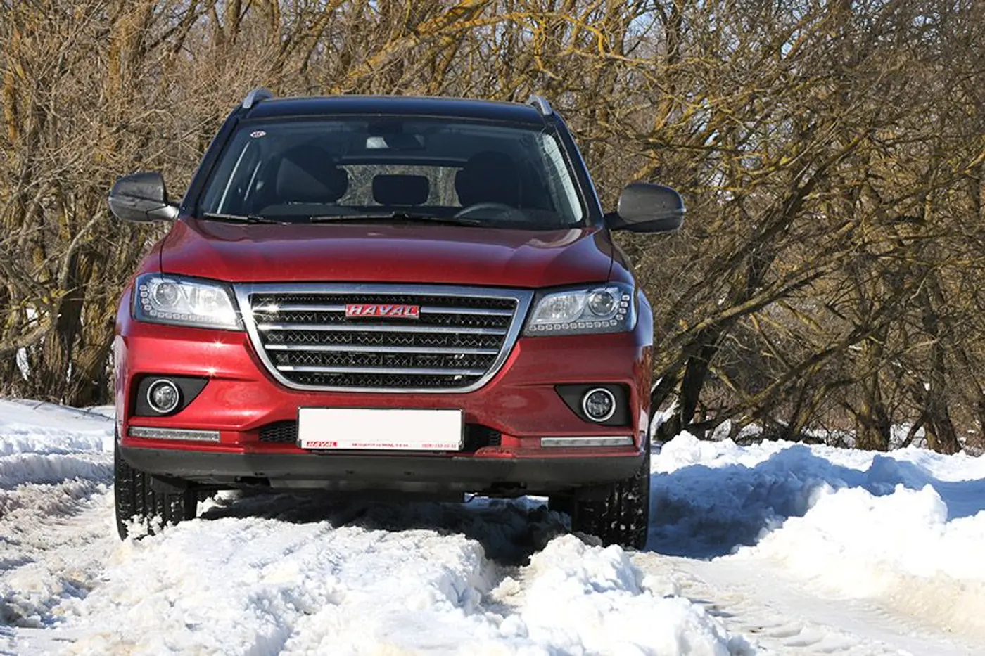 Чем новые модели Haval собираются покорять белорусов?