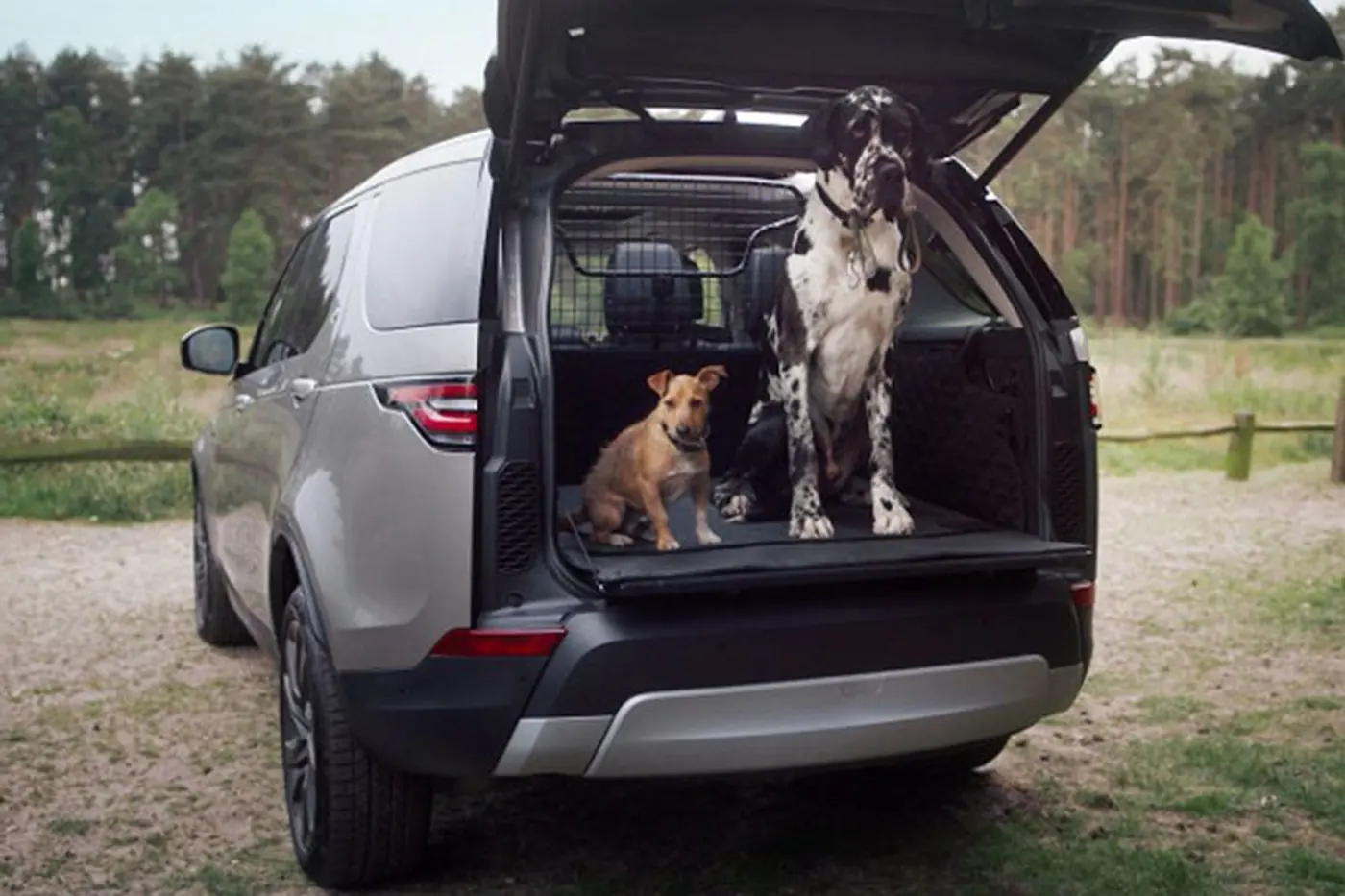 Компания Land Rover будет оснащать свои внедорожники душем для собак