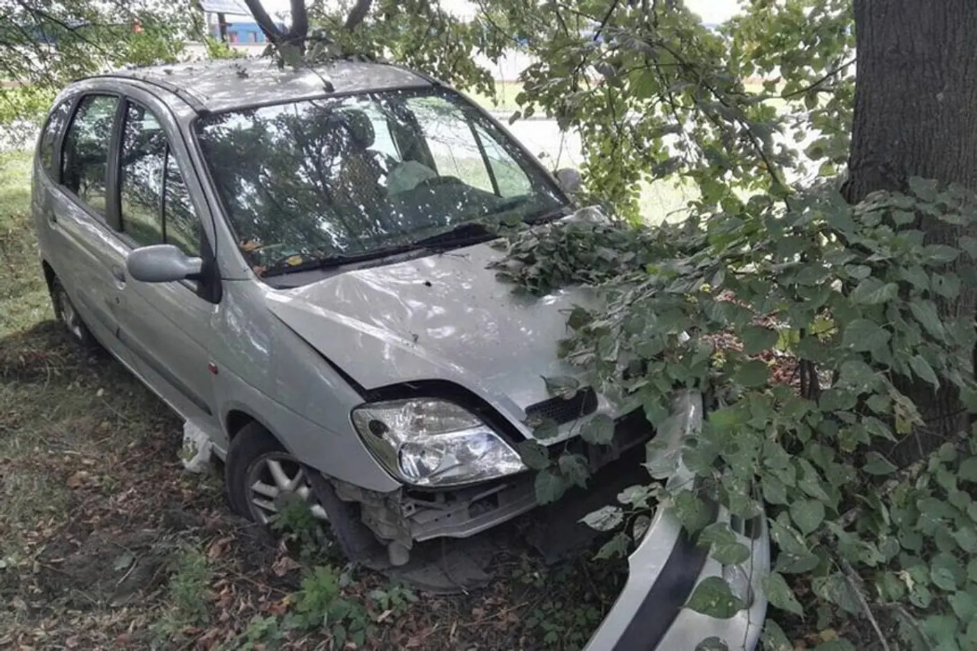 В Барановичах нетрезвый водитель врезался в дерево, уходя от погони