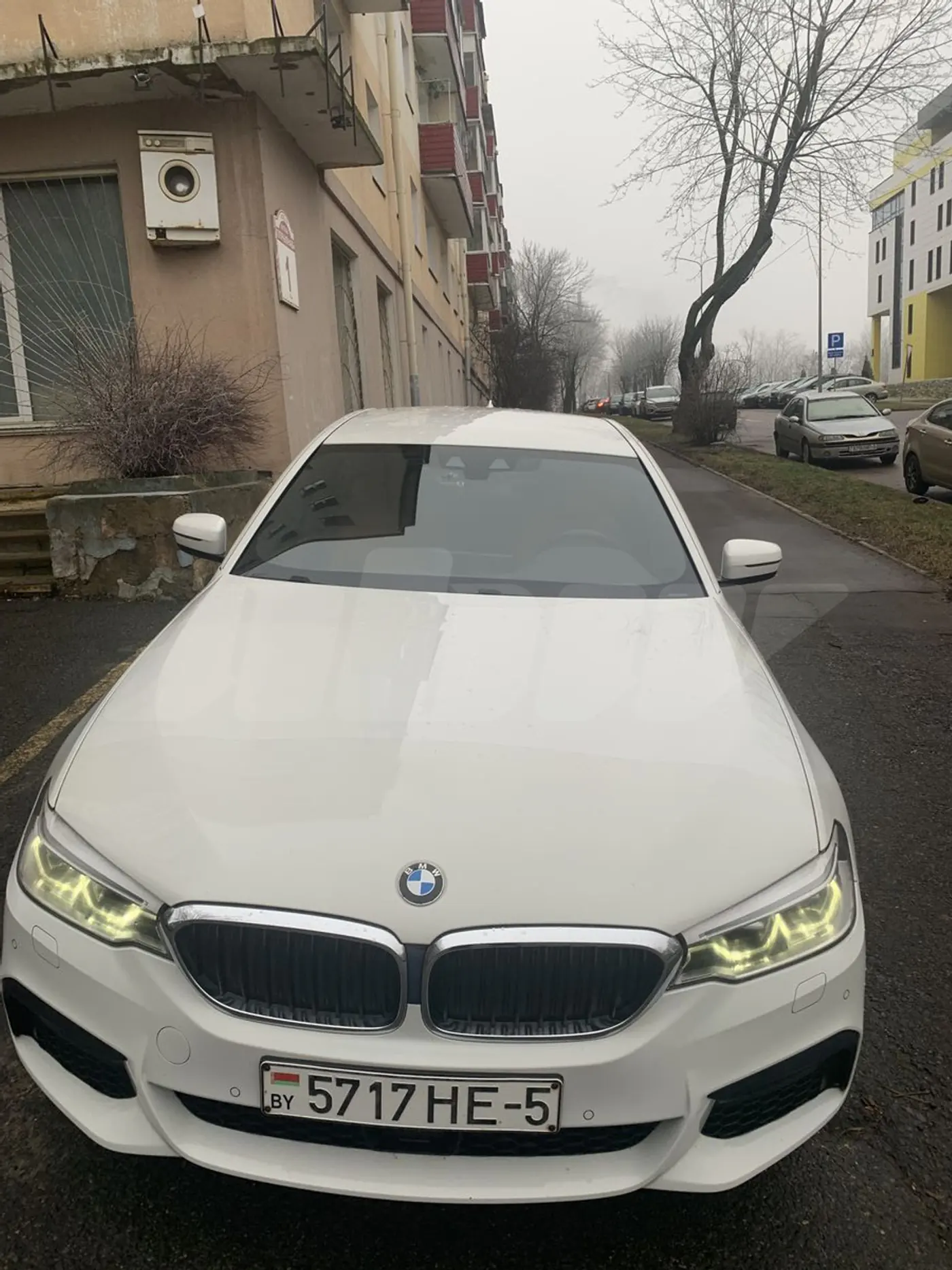 BMW 5 series VII (G30/G31), 2019