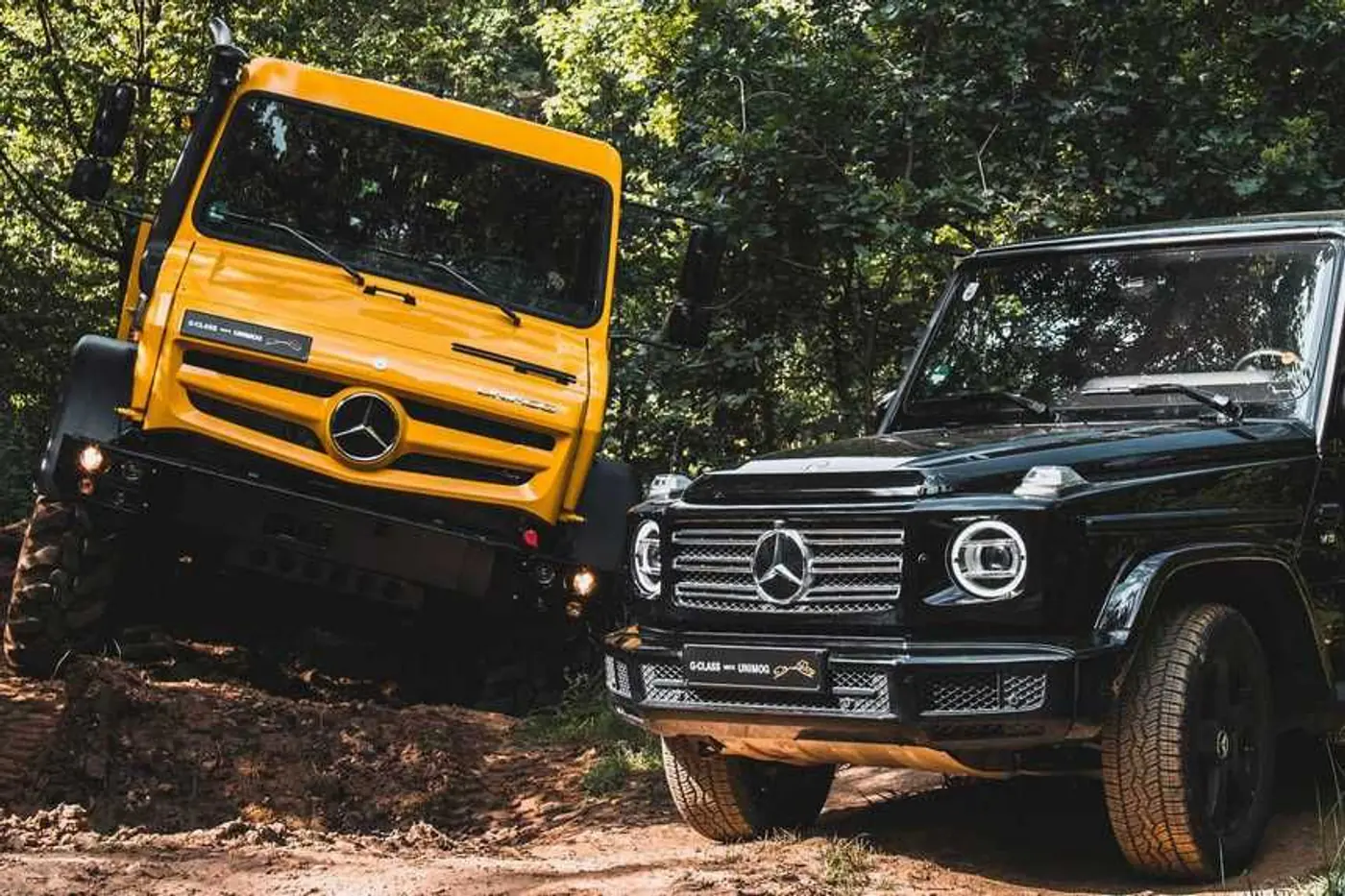 В Mercedes похвастались внедорожными возможностями Unimog и G-класса на видео
