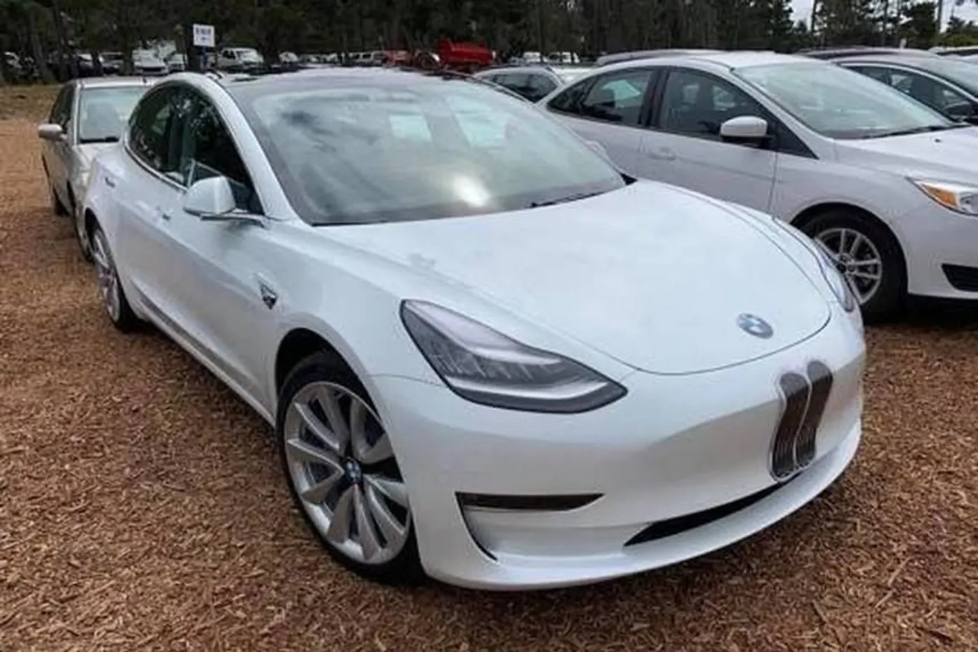 Троллинг или глупость? Владелец Tesla Model 3 решил "превратить" электрокар в BMW