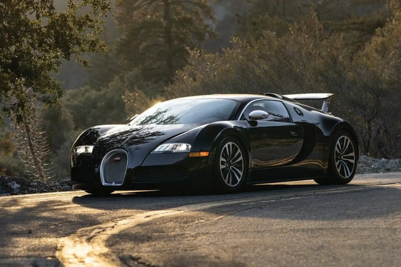 Владелец двух Bugatti Veyron рассказал, во что обходится содержание машин