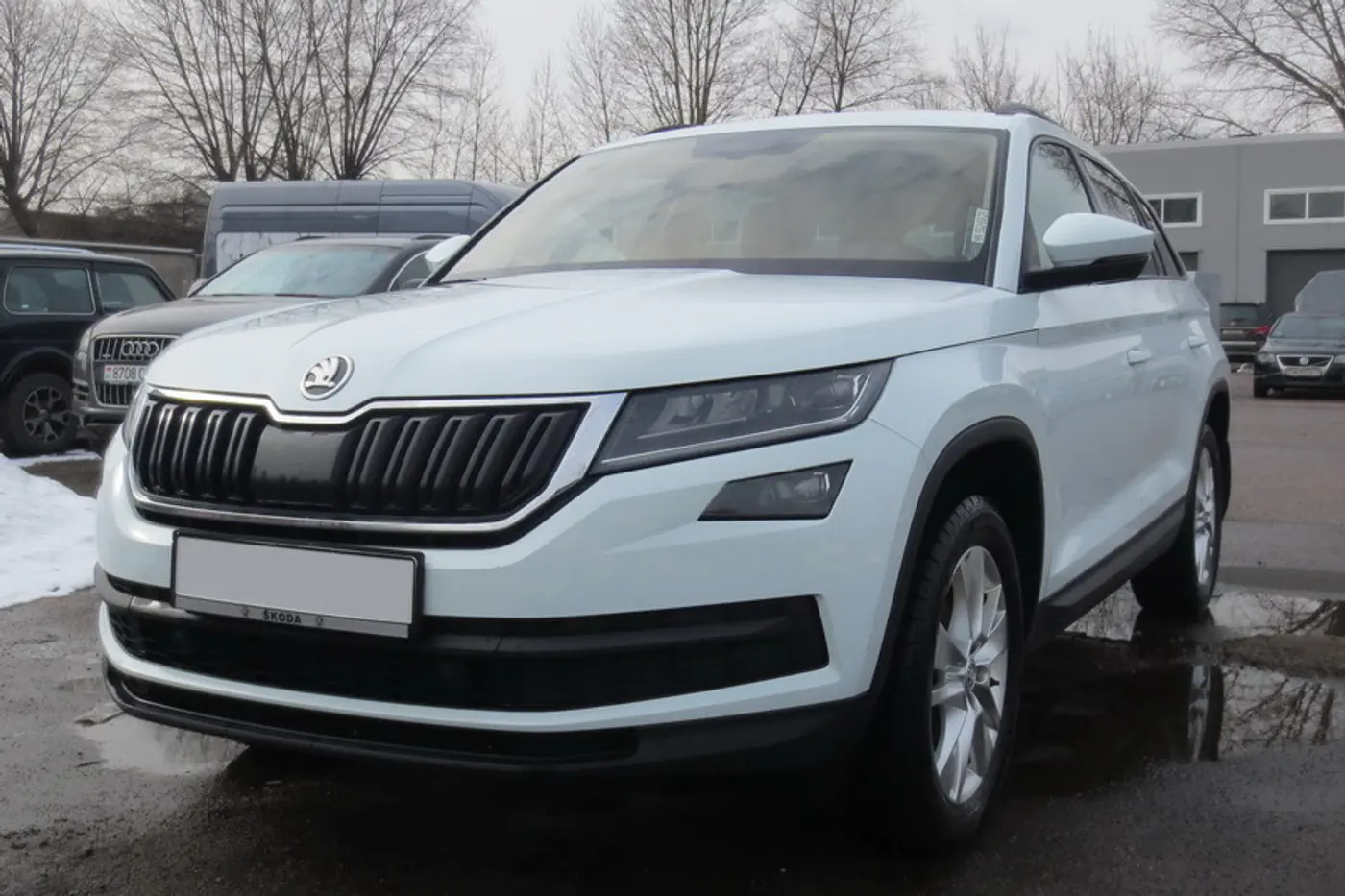 "Поначалу динамика просто бесила". Мнение владельца Skoda Kodiaq 2.0 TDI
