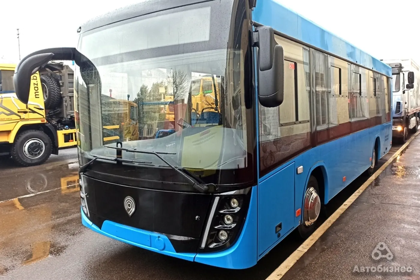 Две модели МАЗ вошли в топ-10 самых популярных автобусов в России