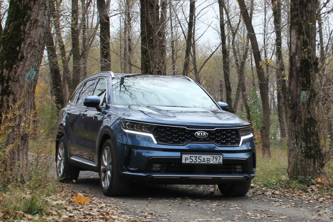 Семеро на один дизель. Тест Kia Sorento