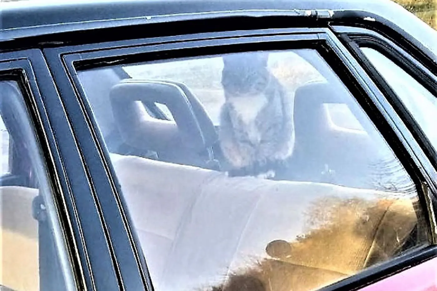 "Пленник" запертой Audi "поднял на уши" двор, ГАИ и СМИ, а сам оказался не таким уж несчастным