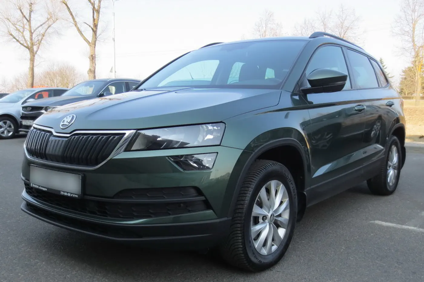 "Он не приспособлен для преодоления бездорожья". Мнение владельца Skoda Karoq