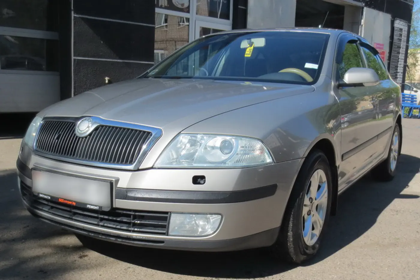 "По стойкости к коррозии недалеко ушла от Passat B6". Мнение владельца Skoda Octavia