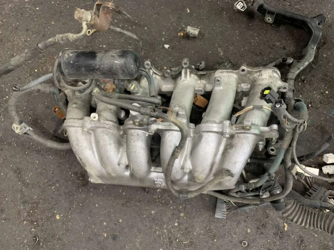 Коллектор впускной к Toyota Altezza 1997