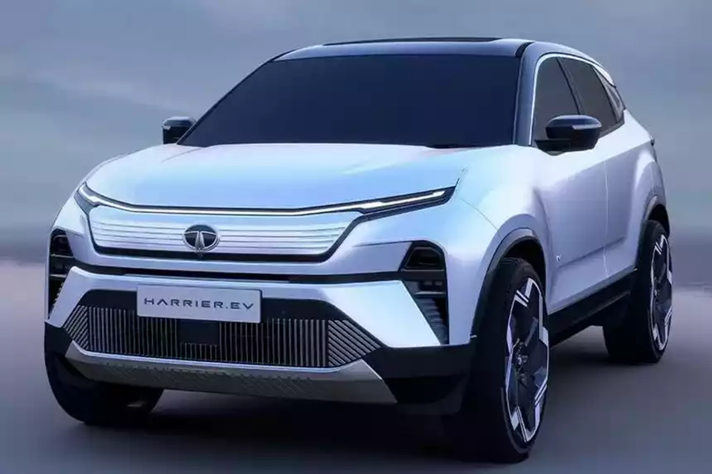 Не Китаем единым: на какие электрокары делает ставку индийская Tata?