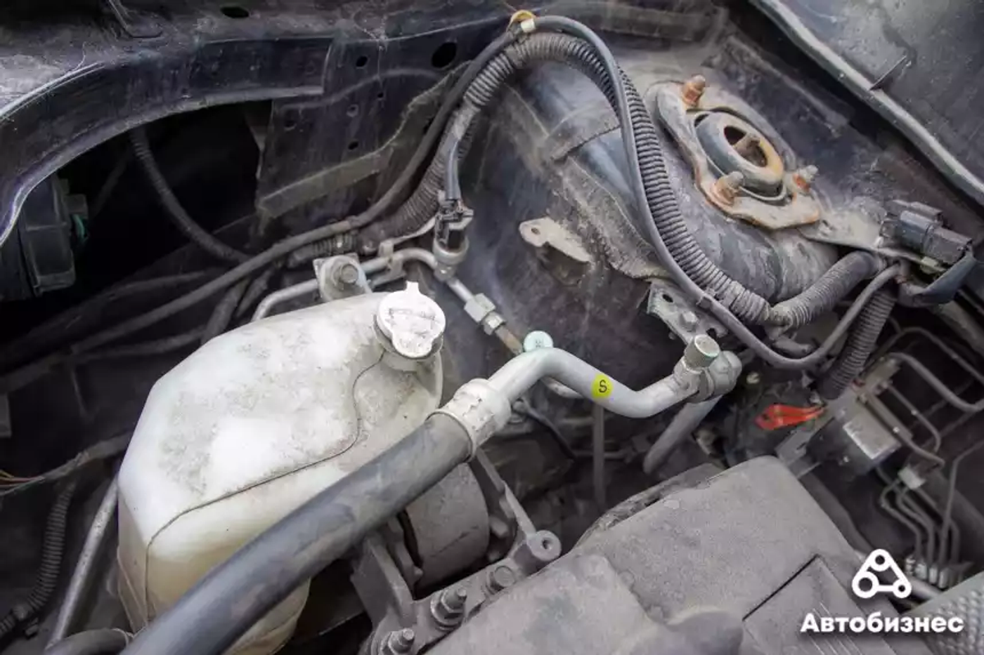 «С надежностью все хорошо, но ржавеет». Мнение владельца Mitsubishi ASX