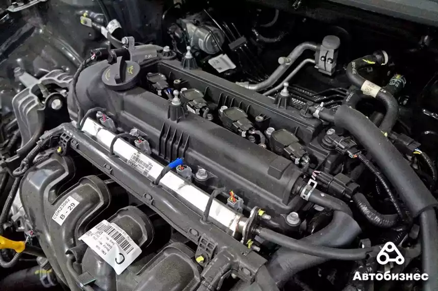 «Разборка» Kia Ceed SW: много защит – мало антикора