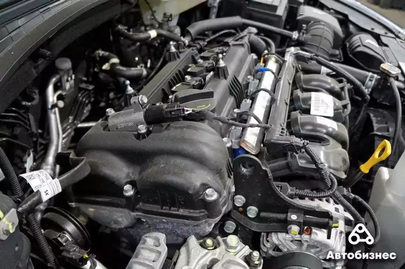 «Разборка» Kia Ceed SW: много защит – мало антикора