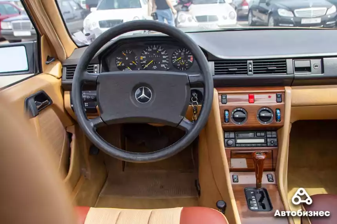 «Нет года выпуска, есть состояние». Владельцы старых Mercedes собрались на большую встречу