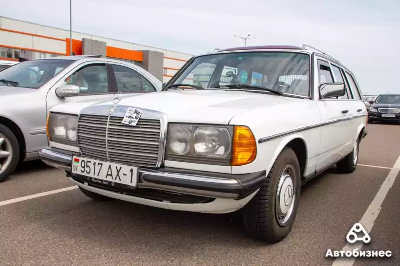 «Нет года выпуска, есть состояние». Владельцы старых Mercedes собрались на большую встречу